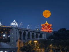 -黄鹤楼公园(黄鹤楼)