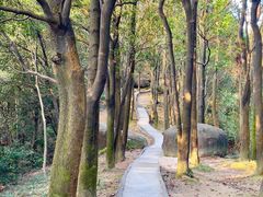 -火炉山森林公园