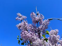 -御足宫影院式足道(平江万达店)