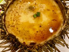 -开海·红岛海鲜虾水饺(石老人店)