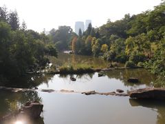-云溪植物园
