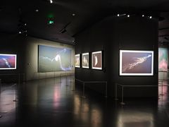 -罗红摄影艺术馆