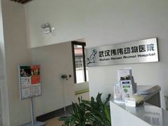 -伟伟宠物医院·瑞派猫友好医院·猫科(光谷店)