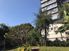 -晓港公园