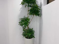 -上海第一八佰伴