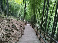 -藏龙百瀑风景区