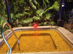 -广州从化都喜泰丽度假酒店温泉