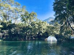 -广州市流溪河国家森林公园