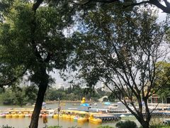 -荔枝公园-小平画像广场