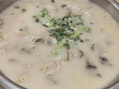 -野狗羊肉汤