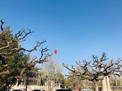 -国家图书馆·古籍馆