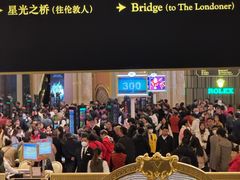 -澳门威尼斯人综合度假区