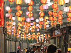 -越秀西湖花市(广州城市广场花卉店)