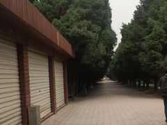 -秦始皇帝陵博物院-丽山园