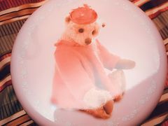 -珍妮曲奇聪明小熊(尖沙咀店)