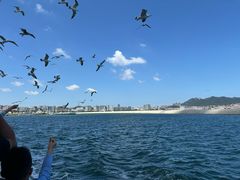 -刘公岛景区
