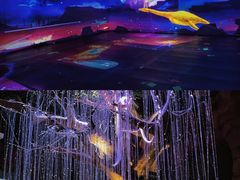 -长鹿旅游休博园