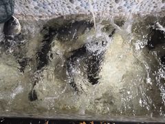 -哈尔滨东北铁锅炖(都督街店)