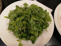 -金狮麟·新豫菜(金码大厦店)