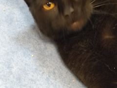 -博特宠物医院24h犬猫全科.骨科·异宠