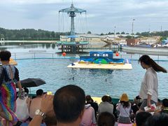 -秦皇岛乐岛海洋王国