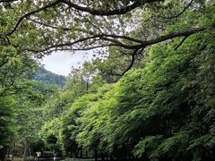 -黄公望隐居地