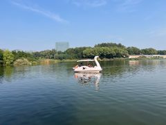 -大兴滨河森林公园