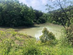 -青龙山国家森林公园