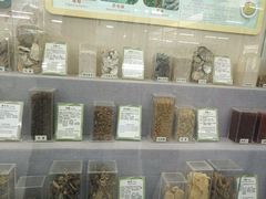 -北京中医药大学-中医药博物馆