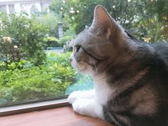 -咖法森林·咖啡  酒吧(天河店)