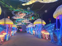 -三亚海昌梦幻海洋不夜城