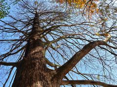 -华南国家植物园-售票处