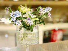 -HUATA 'Holiday Plan 花榻