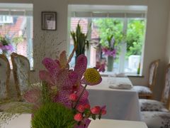 -蝶舍·MAISON PAPILLON