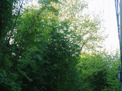 -大罗山风景区