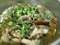 -风鑫铃罗非鱼(道沟店)