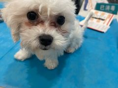 -美迦爱-牙专科·兔科·骨科诊疗中心(北苑店)