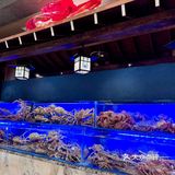 今天请你吃螃蟹的姐姐🦀