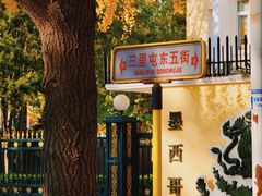 -三里屯东五街银杏大道