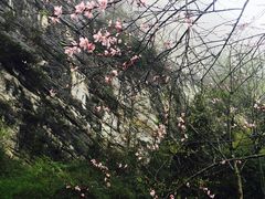 -武隆天坑地缝国家地质公园