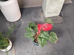 -阿伟海鲜楼·福建菜(涵江店)
