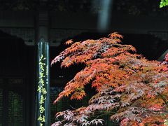 -台州府城(东湖)