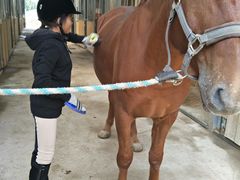 -月河湾马术俱乐部(朝阳店)