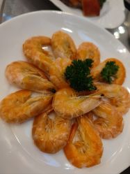 -新城花园酒店·宴会厅