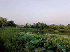 -西海子公园