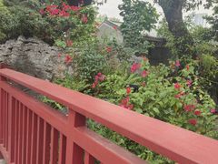 -荔湾湖公园