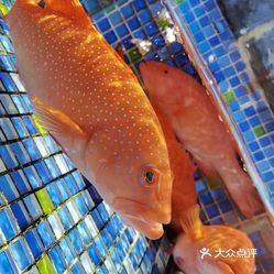 地址,价格,营业时间(图) - 海盐县美食 - 大众点评网