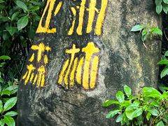 -广州长隆野生动物世界