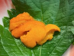 -黑松白鹿(金融街店)