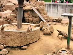 -西安秦岭野生动物园